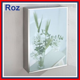 ROZBATH 7024T-SP SLIM MIRROR CABINET S/S